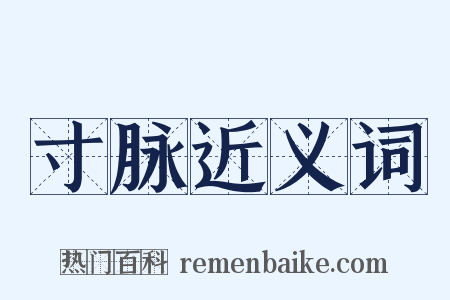 寸脉近义词是什么意思的图片